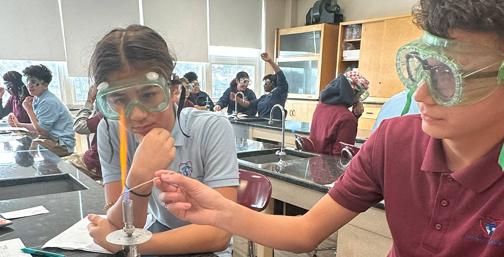 The Science Academies of New York Celebrate National STEM Day in Honors Chemistry Lab